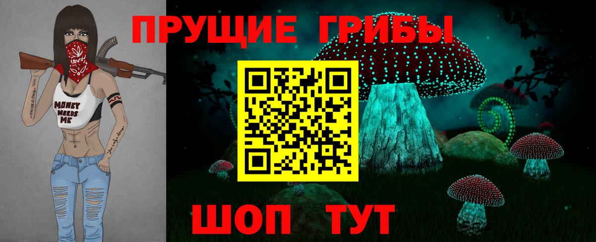 Псилоцибиновые грибы Cubensis Ярославль