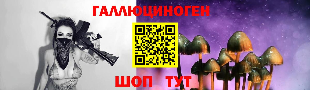 как найти наркотики  Вход с VPN  Ярославль  Галлюциногенные грибы Magic Shrooms 